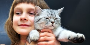 child-scottish-fold-shutterstock_128441951